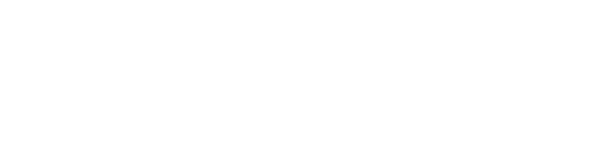Wisetwin